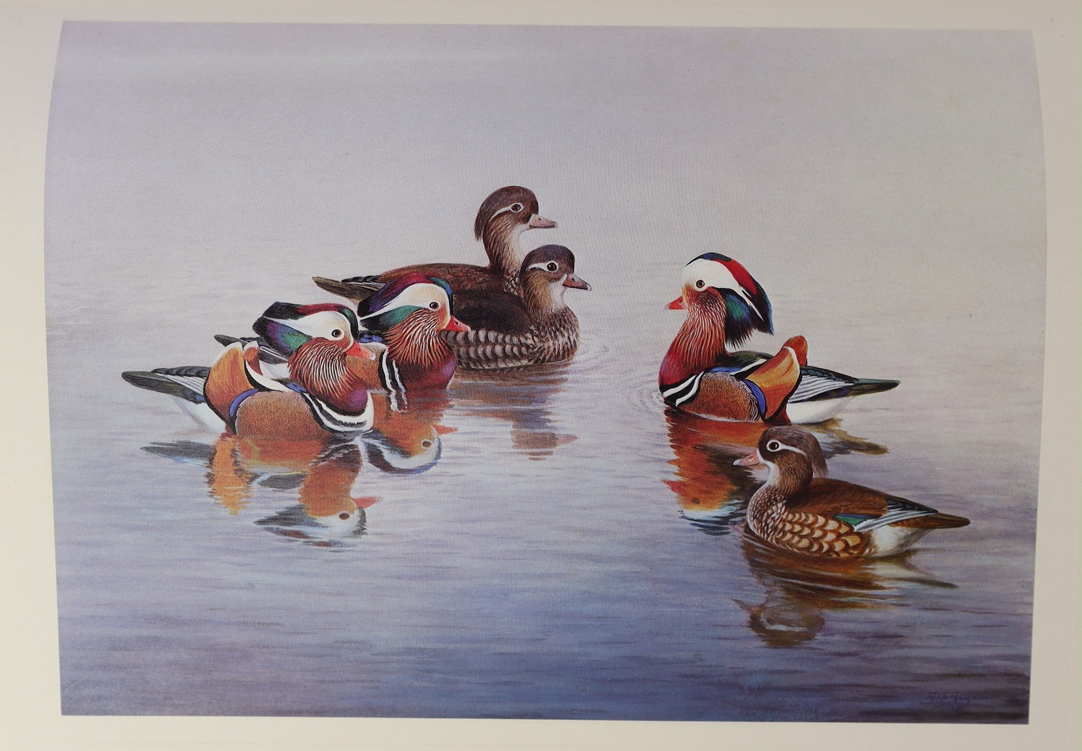 Rickman, Philip - A Selection of Bird Paintings and Sketches, folio, half green morocco, 463 of 500, signed by the artist author, with 31 colour plates, Curpotten Limited, 1979, in slip case.